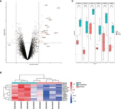 Epiphycan Predicts Poor Outcomes and Promotes Metastasis in Ovarian Cancer